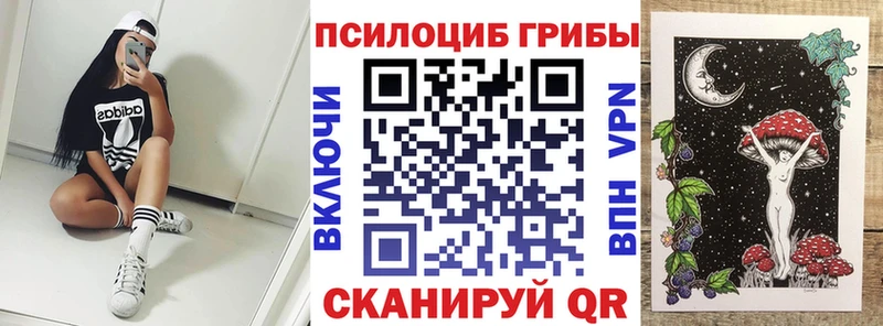 Галлюциногенные грибы Cubensis  Тулун 