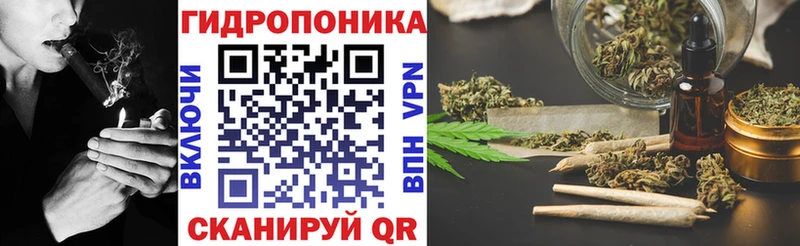 Шишки марихуана сатива  Тулун 